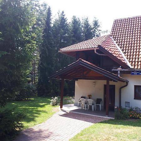 Apartmani U Borovoj Sumi Zlatibor Exterior foto