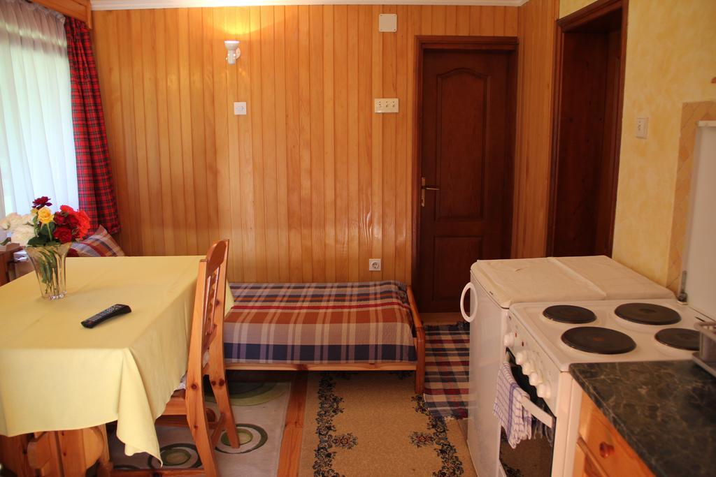 Apartmani U Borovoj Sumi Zlatibor Cameră foto