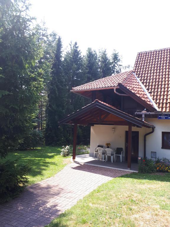 Apartmani U Borovoj Sumi Zlatibor Exterior foto