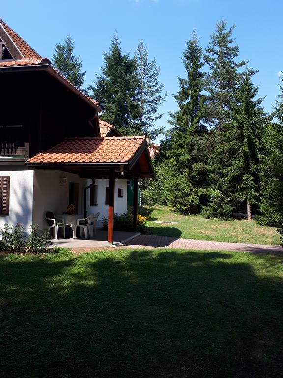 Apartmani U Borovoj Sumi Zlatibor Exterior foto